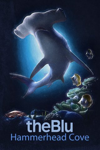 An image of a hammerhead shark underwater overlaid with the text "theBlue" and "Hammerhead Cove."