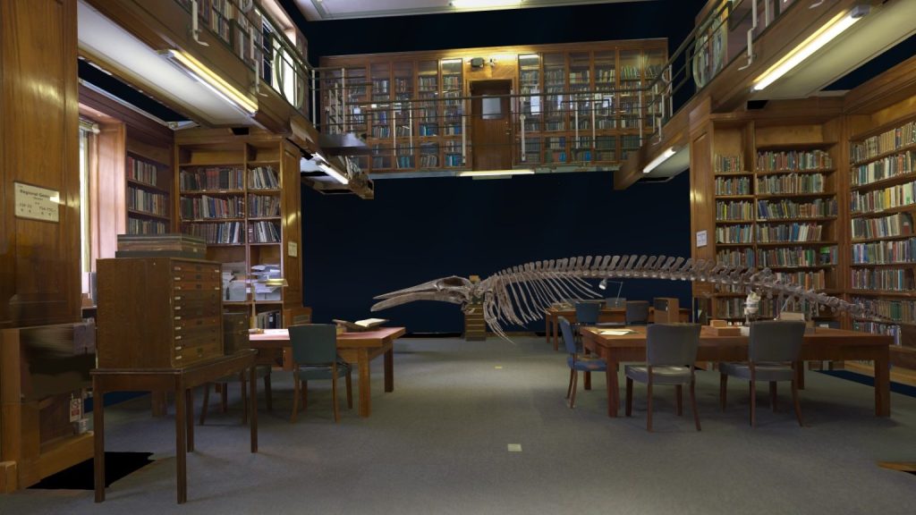 An image in a library with a large whale skeleton floating in the air.